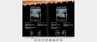 Millennium Brochure